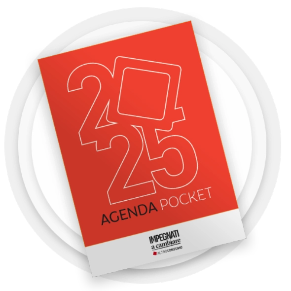 Agenda Pocket 2025