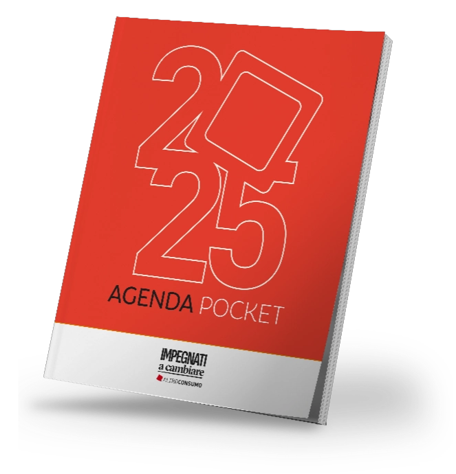 Agenda Pocket 2025